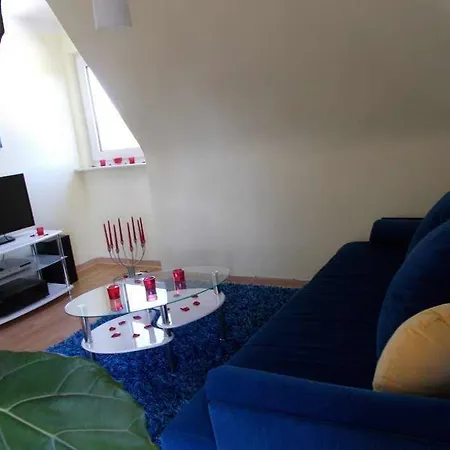 アパルトメンツ ヘルツォグス ロマンティク アパート *